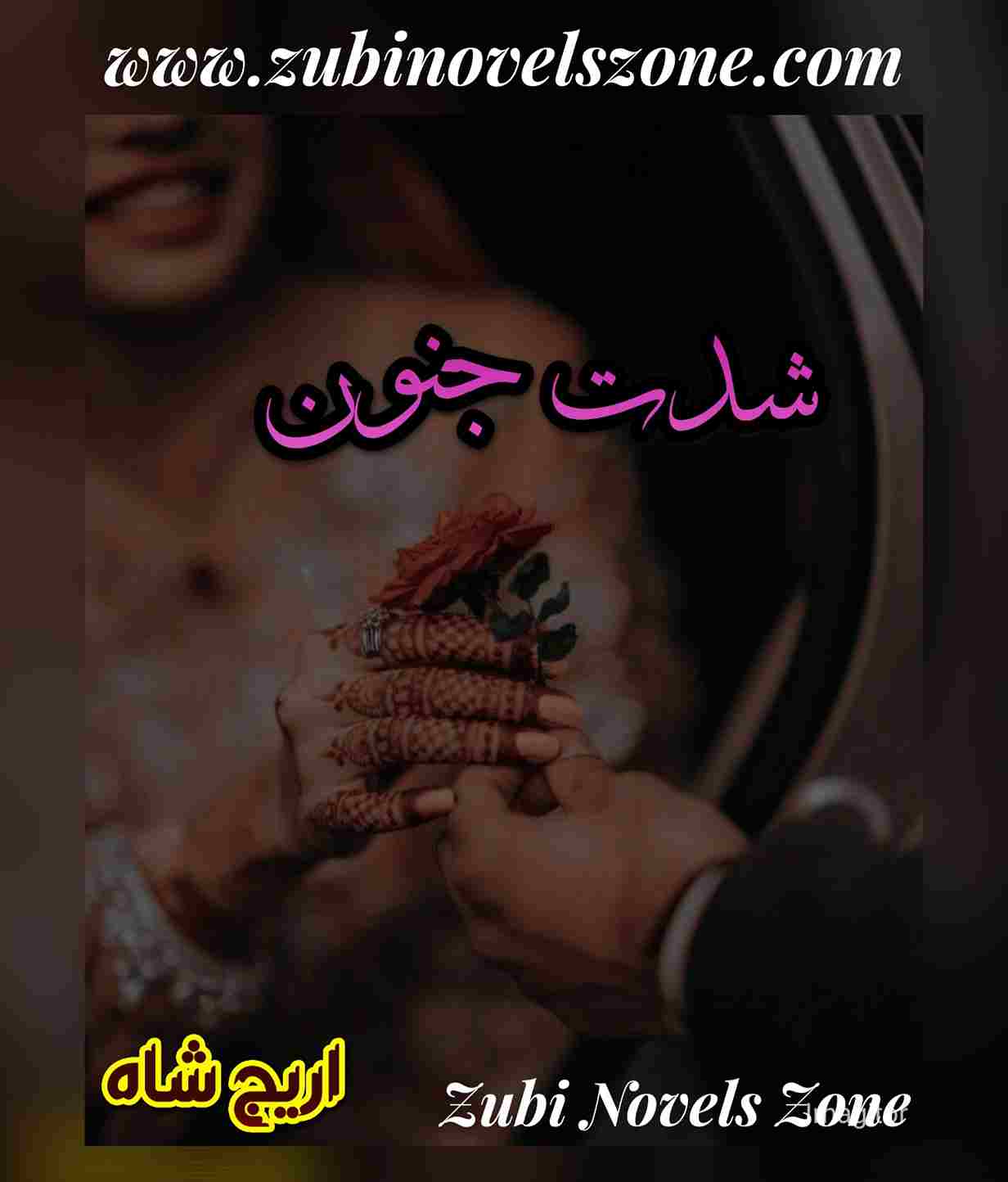Novel Shiddat E Junoon By Areej Shah – ZNZ
