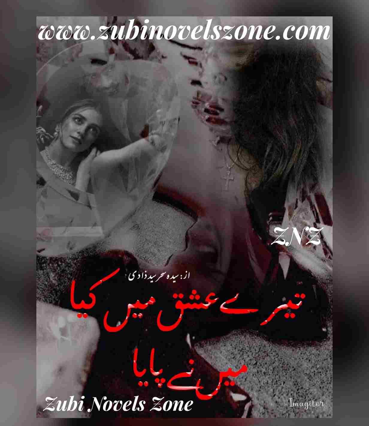 Novel Tere Ishq Mein Kaya Mein Nay Paya By Syeda Sehar Syed Zaadi Episode 1 & 27 – ZNZ