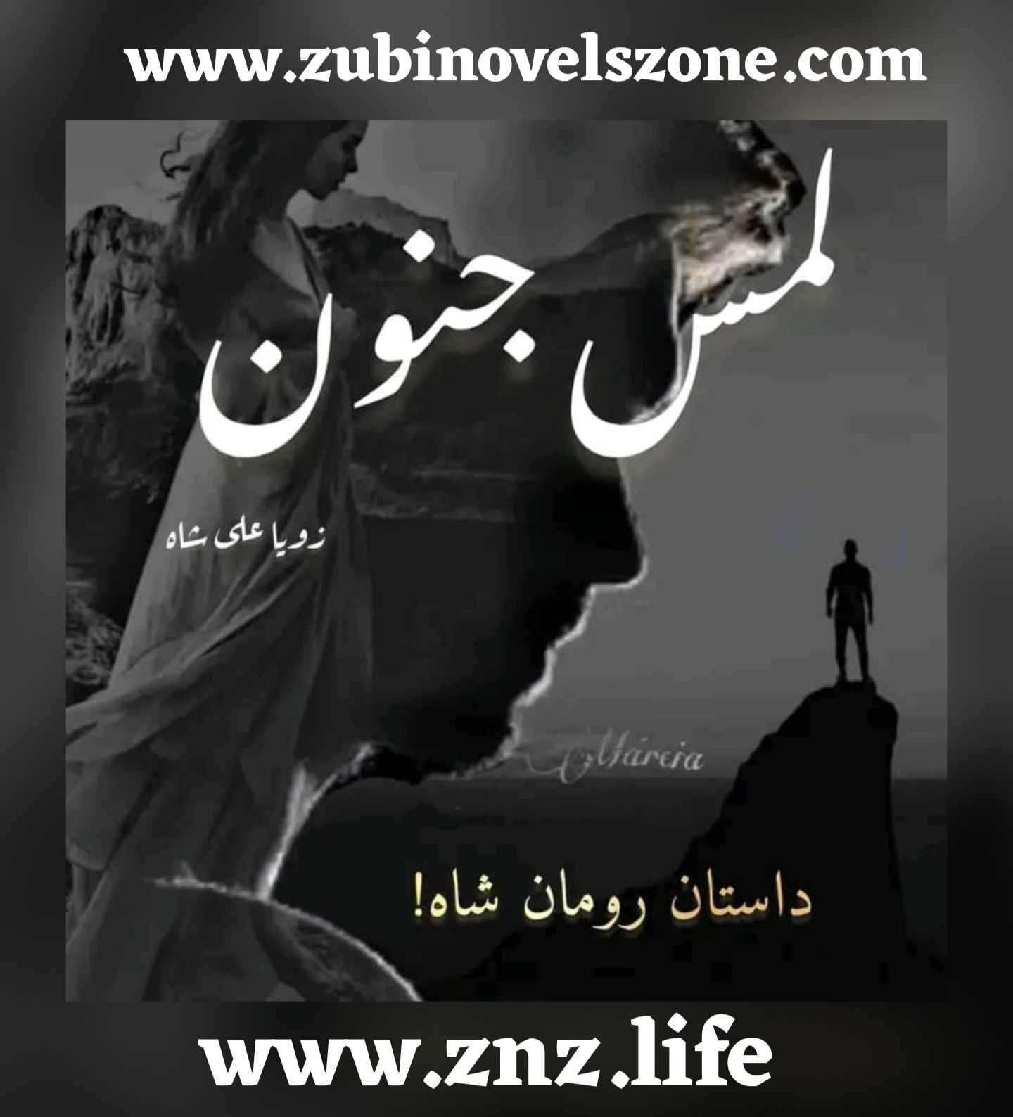 Lams E Junoon Novel By Zoya Ali Shah Complete ZNZ Zubi Novels Zone