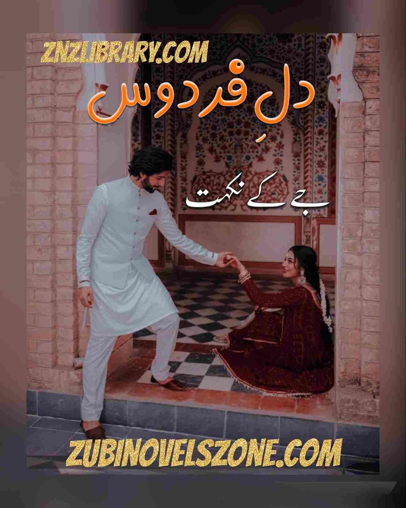 Dil E Firdous Novel By J Nikhat Complete – ZNZ