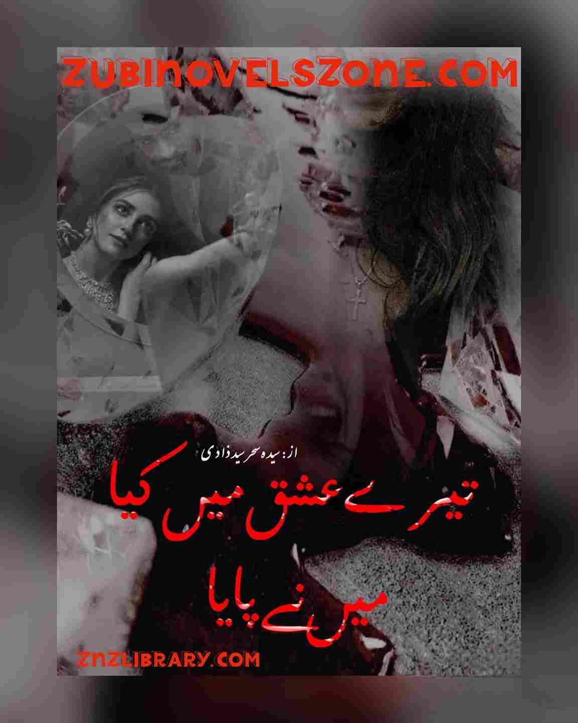 Tere Ishq Main Kiya Main Ne Piya Novel By Seyda Sehar Complete – ZNZ