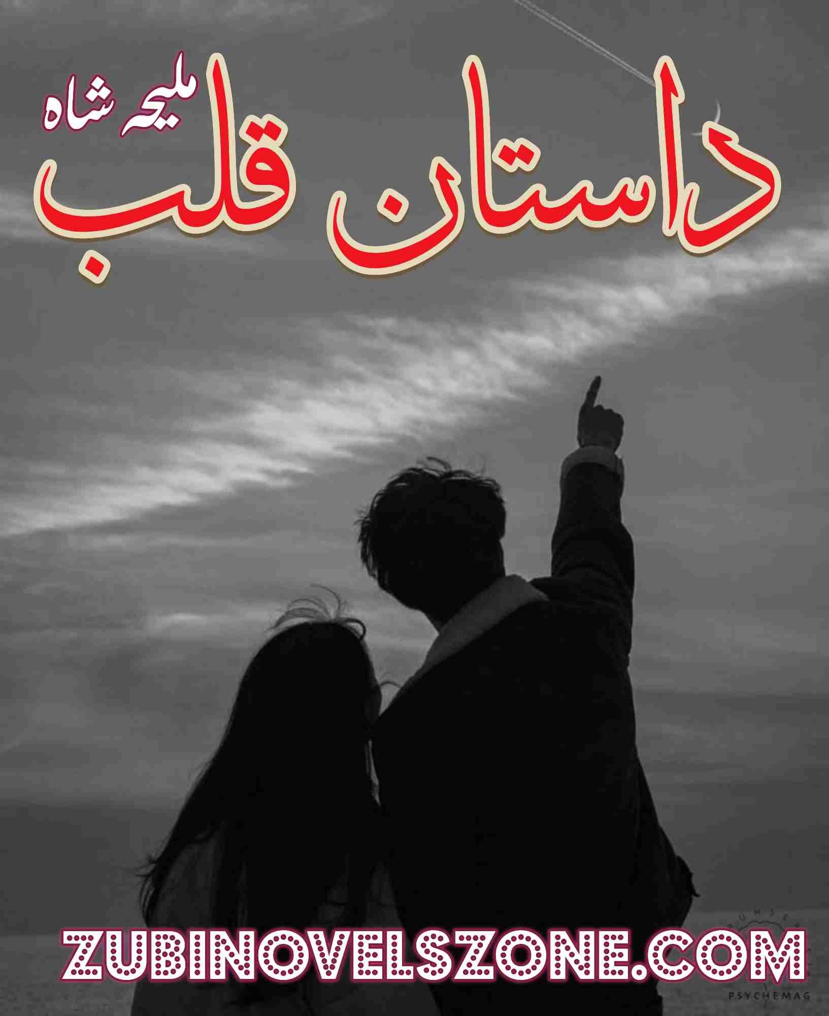 Dastan E Qalb Novel By Maleeha Shah Complete – ZNZ