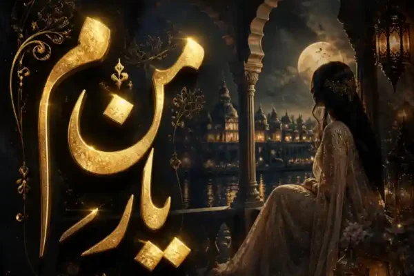 Man Yaram Novel By Meerab Hayat Complete - ZNZ
