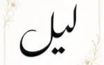 Lail By Wania Maqsood - ZNZ