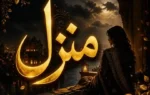 Manzil Novel By Rashk e Hina Complete - ZNZ