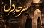 Sarhad e Dil Novel By Efa Ansari Complete - ZNZ