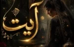 ayat novel by manal ali